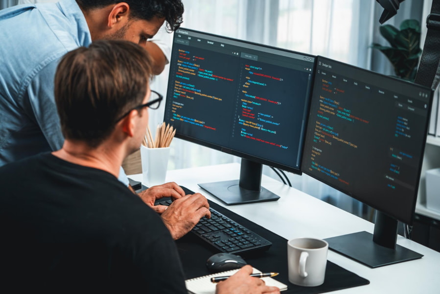 Software development